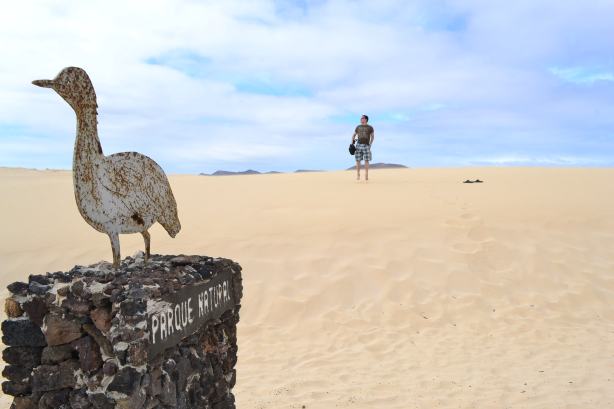Freedom on Fuerteventura Island (Spain)
